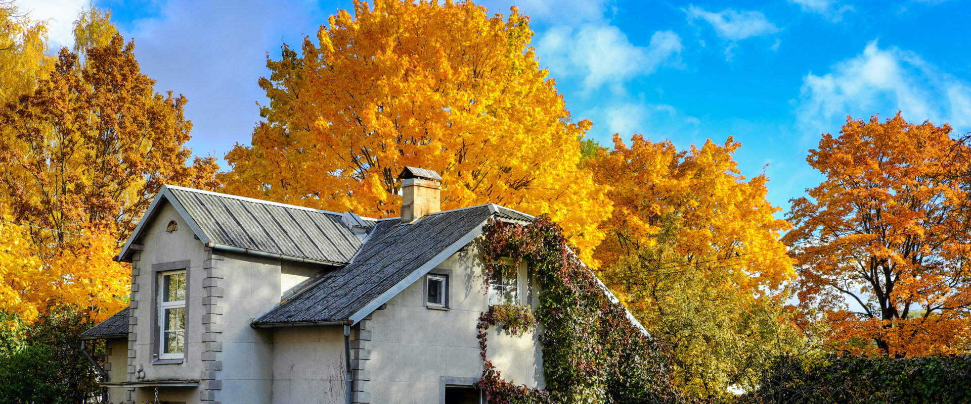 When is the Best Time to Move: Beginning or End of the Month?